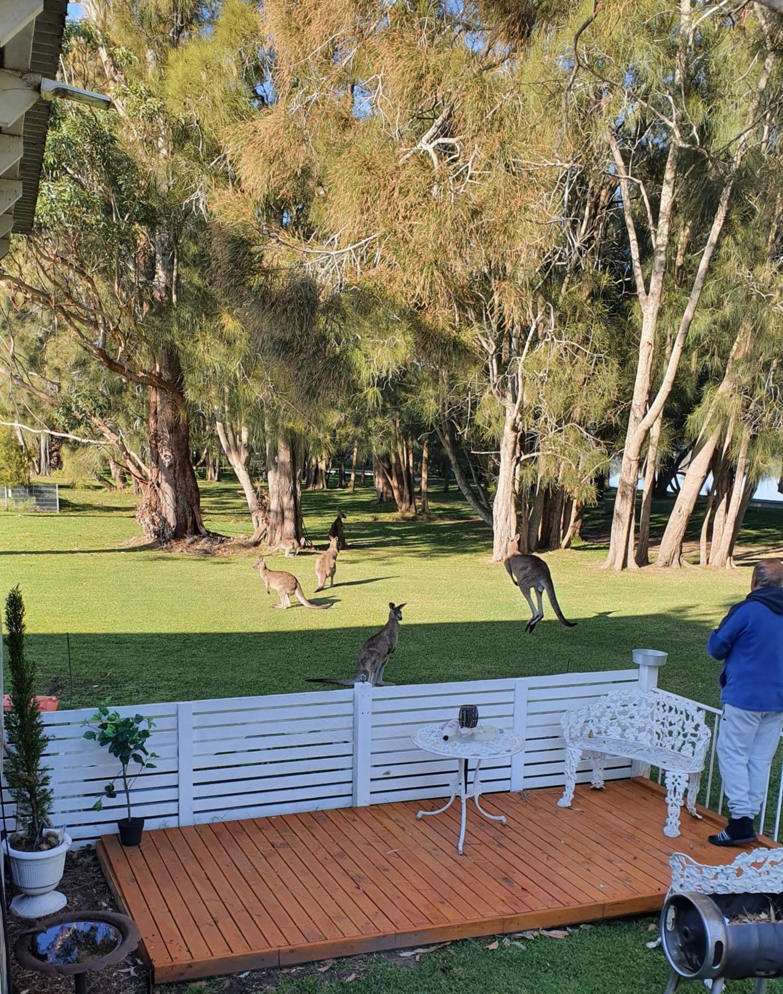 The Sanctuary At Paradise Beach B&B Sanctuary Point Buitenkant foto